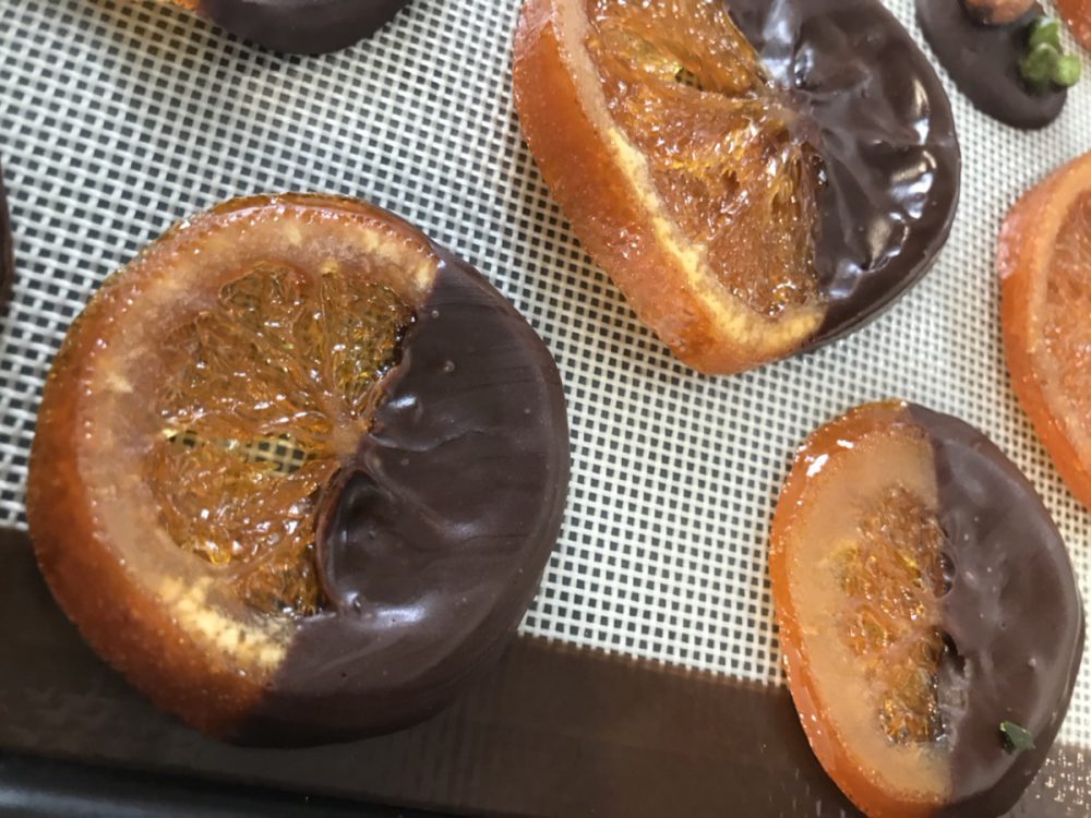 2月10日(土)・11日(日)　富士本社　『住まいプラスワークショップ&cafe』