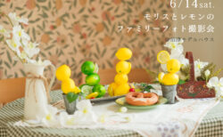 6/14(土)モリスとレモンのファミリーフォト撮影会〈沼津モデルハウス〉