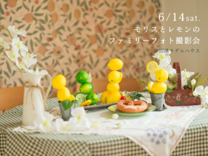 6/14(土)モリスとレモンのファミリーフォト撮影会〈沼津モデルハウス〉