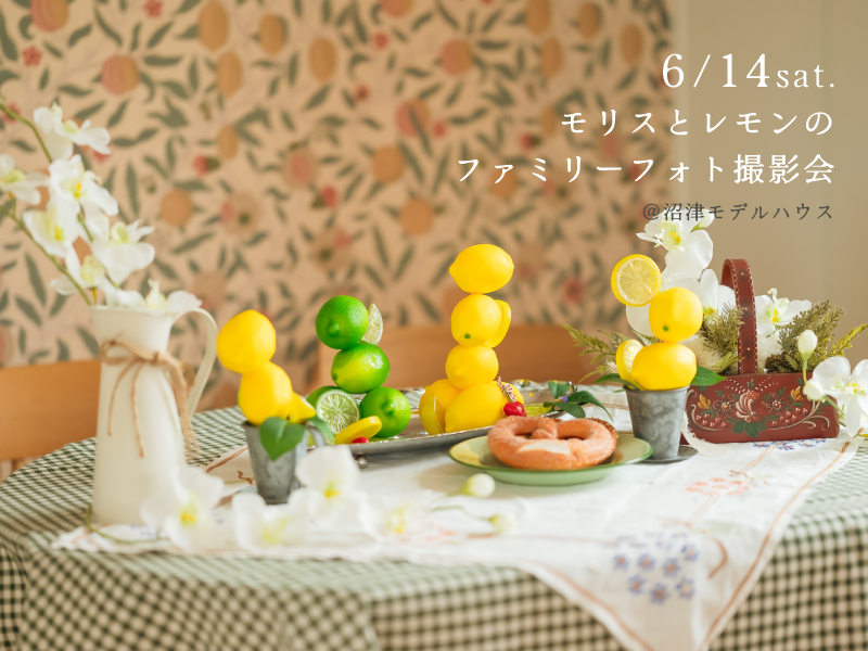 6/14(土)モリスとレモンのファミリーフォト撮影会〈沼津モデルハウス〉