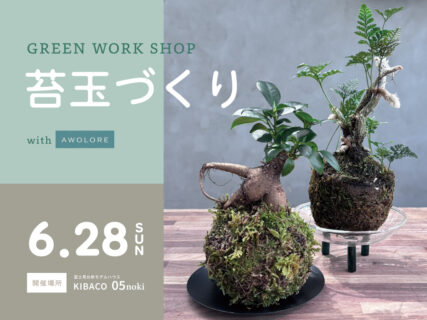 【ワークショップ】6/28㈰ |GREEN WORK SHOP 苔玉づくり|自然素材モデルハウス「KIBACO_noki05」
