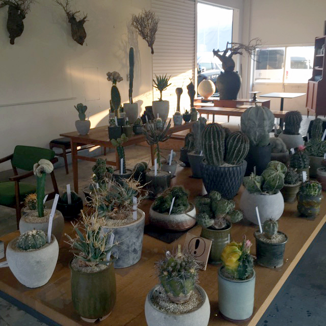 グリーンのある生活