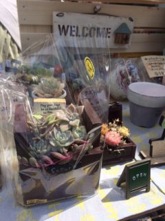 GW最終日、賑やかなマルシェでした。