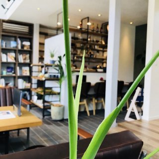 エースホーム　新発売【ANDY -ｱﾝﾃﾞｨ-】モニターキャンペーンのお知らせ