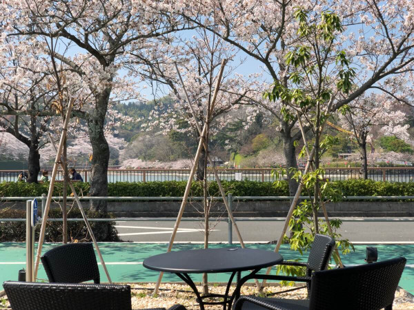 美味しい暮らし『蓮花寺池公園のスタバ』