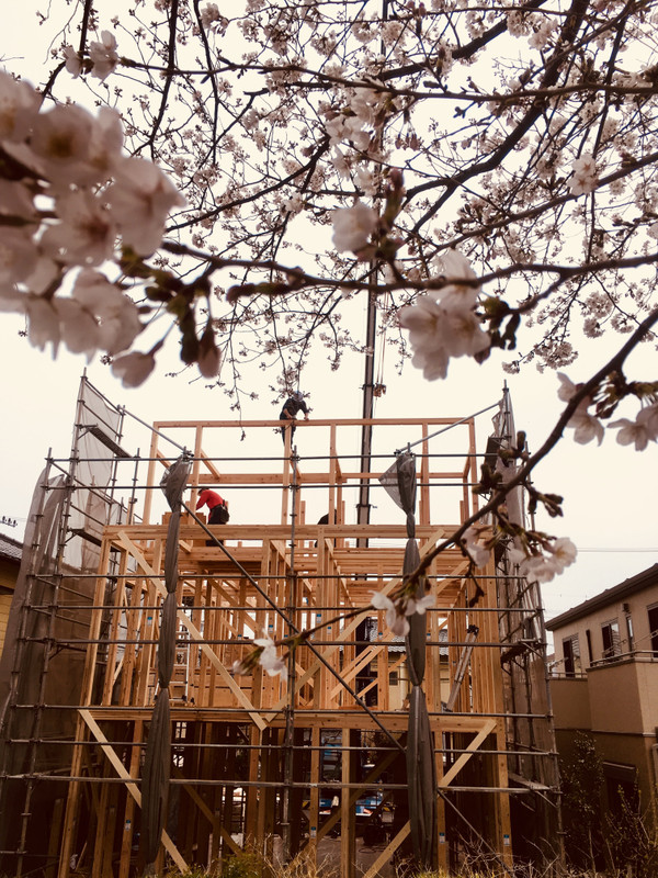 桜満開! 祝上棟! そしてバスツアー!【藤枝支店】