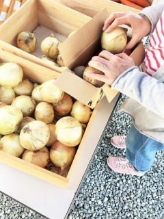 富士見台街びらきFestaでお野菜詰め放題！