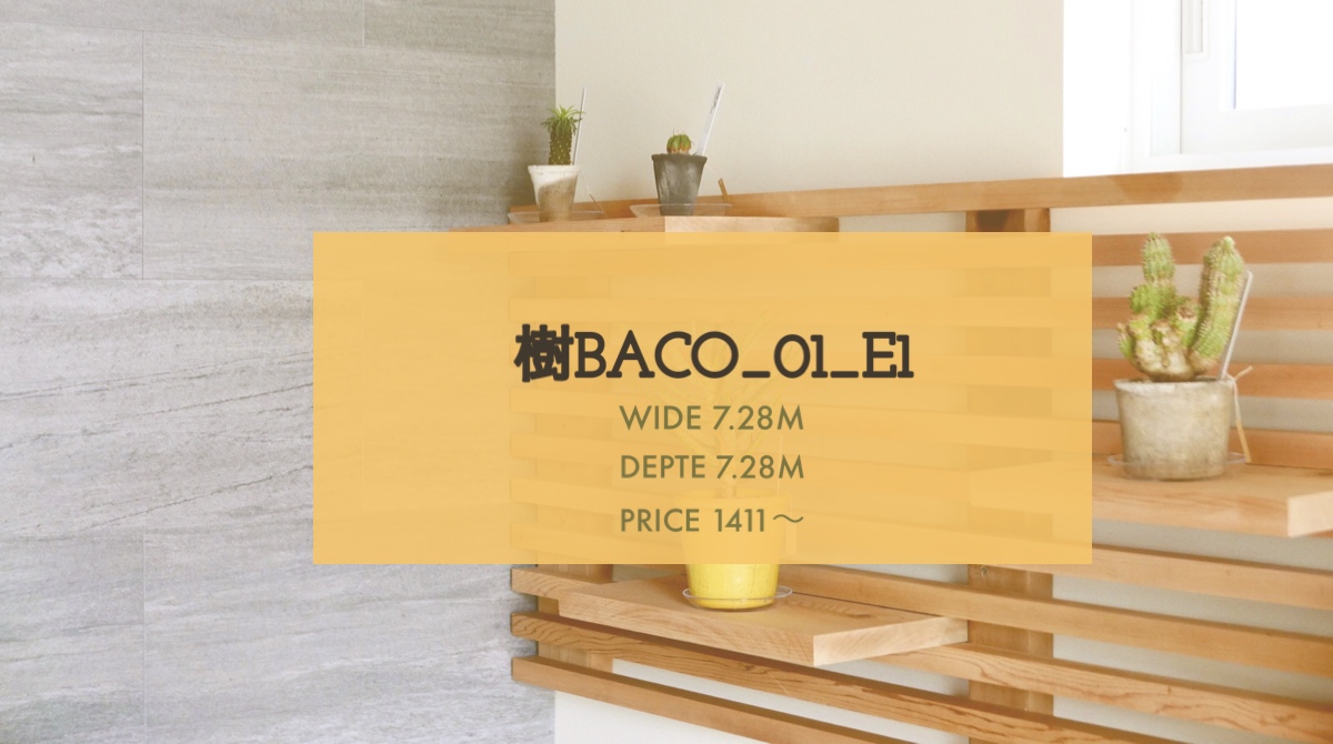 樹BACO_01_E1ご紹介【こだわりを選ぶ、オプション編】