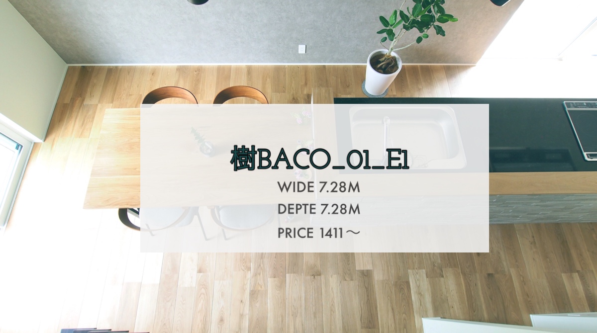 樹BACO_01_E1ご紹介【実際のお家写真①】