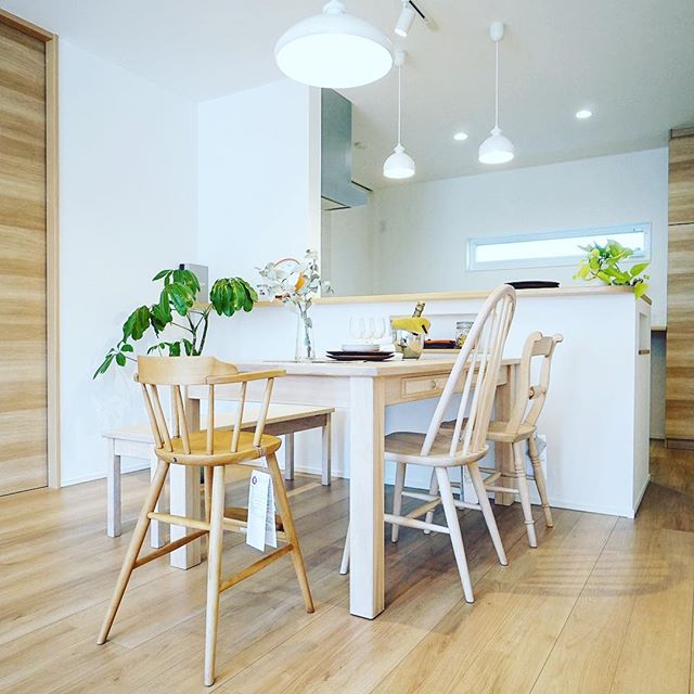 明るいダイニングのイメージ。 Northern Forest家具設置事例