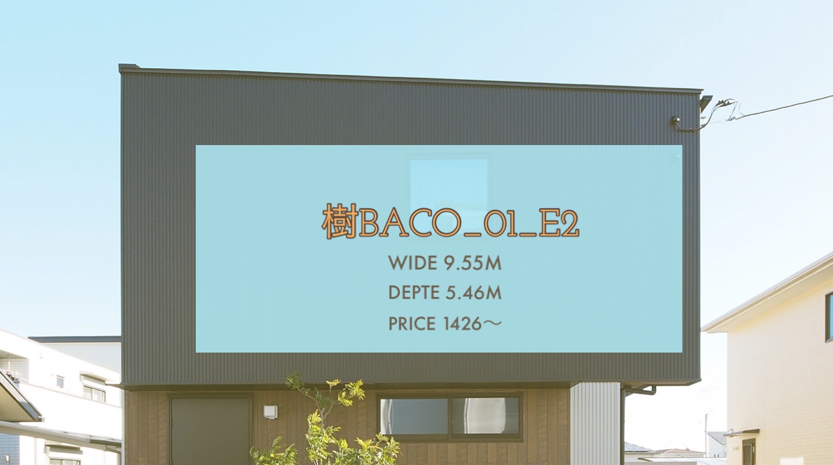 樹BACO01_E2ご紹介【見どころはココ！実際のお写真】