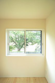 来年の春、『桜色』の景色が楽しみですね！