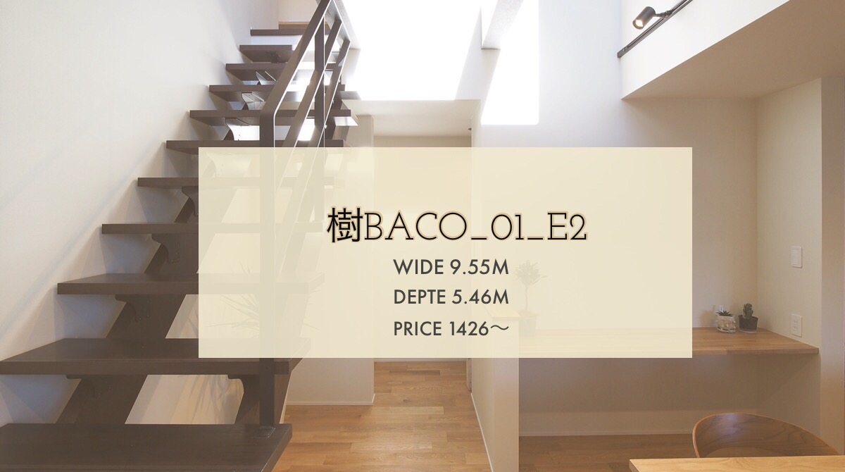 樹BACO_01_E2ご紹介【引違い窓以外にも色々あります】