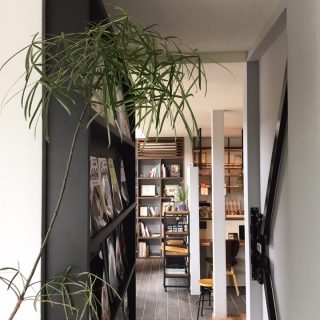 Home& Cafe XOXO便り。