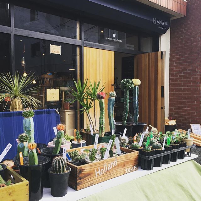 おはようございます！本日は毎月第一日曜日開催の【テーブルマーケット】。朝9時よりオープンし、皆様のご来店をお待ちしております。.ハナレアルタナでは、◆多肉植物グリーン即売会◆木っ端&ハギレ市◆テーブルマーケット限定SALEを開催中！.限定SALE、今回は文具がお得に！大成紙器製作所レターボックス、書類ケース、本専用封筒が本日限り20%offとなります。.ぜひご来店ください！.#テーブルマーケット#グリーン#多肉植物#sale#文具 #文具好き#インテリア