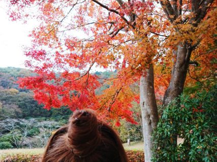 「★紅葉トンネルで和みのひと時★」エースホーム通信No.1810【エースホーム富士店】