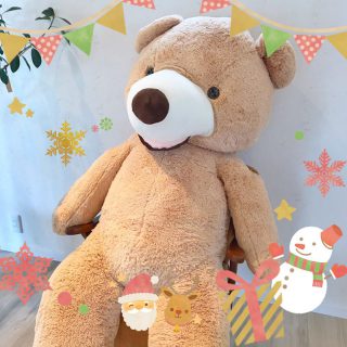 HOME＆CAFE XOXO キッズ＆ベビーフォトカフェ開催いたします♪【藤枝支店】