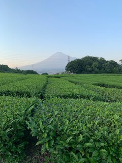 茶畑と富士山　【　リフォーム・リノベ　】