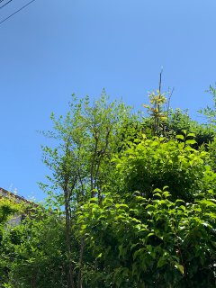 外構打合せ　【リフォーム・リノベ】