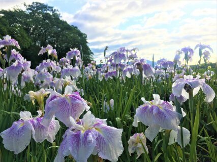 焼津市中根　リビングと階段と和室が土間でつながる住まい　予約制完成見学会【藤枝支店】