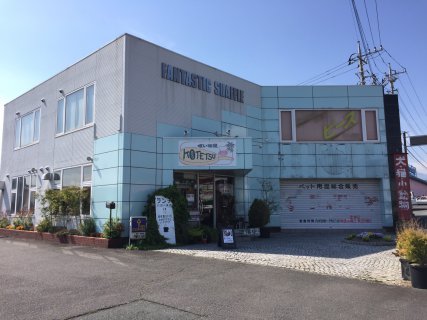 〔賃貸情報〕富士宮市テナント