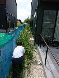 「★草取り★」エースホーム通信No.2105【エースホーム富士店】