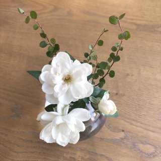栄養豊かな冷製スープはいかがですか？