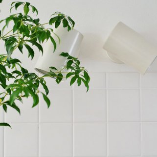 おはようございます。 ホワイトバランスを意識した空間 計算された美しさ　そして心地よさ 五感に響く家を体感ください 本日は13時から18時迄オープン お問い合わせはコメント、DM 又は 電話　LivingD第一建設 0545-52-9064 (担当:小櫛) #hibikithemirai #サスティナブル #bessoaltana #アルタナ #livingd #HIBIKIの家 #第一建設 #富士山が見える #分譲地 #別荘 #パッシブデザイン #富士見台 #富士市 #静岡 #トリプルガラス #モデルハウス #ゼロエネルギー #マイホーム計画 #暮らしを楽しむ #暮らし#キッチン #照明#家づくり#インテリア #interiordesign #white @besso_altana @livingd_kibaco_03