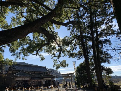 掛川パワースポット 事任八幡宮へ【ﾘﾌｫｰﾑ・ﾘﾉﾍﾞ】