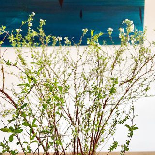 四季薫る街　富士見台
ゆったり過ごしてみませんか？

もうすぐ立春。
春の足音も聞こえてきました。

2/1土曜日からは展示会も始まります。
※詳しくは▲ハイライトをご覧下さい。

皆様の御来場をお待ちしております。

お問い合わせはDM
又はお電話でどうぞ。
☎︎0545-67-3939

#体感#五感#美しさ#心地よさ

#展示会#モデルハウス
#アート#花のある暮らし 
#暮らし#心地よい暮らし 
#リビングインテリア 
#パッシブデザイン
#デザイン
#HIBIKIの家
#一枚板
#ユニルクス
#木製窓
#漆喰
@livingd_works_daiichikensetsu 
@livingd_kibaco_03
#マイホーム計画中
#openhouse
#富士市
#静岡
#別荘
#四季