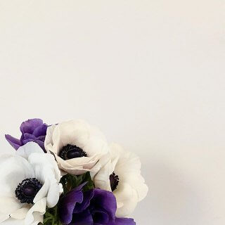 明日もOPENです 本日もBesso ALTANAへ 御来場ありがとうございました。 心地よさ 住まいの性能 間取りの参考に 部屋のしつらえを見たい。 スタッフと家の話をしたい。 みなさま 御来場目的は様々です。 明日も10時 OPEN 皆様の御来場をお待ちしております。 ▶︎富士市富士見台5-2-1 お問い合わせはDM 又はお電話でどうぞ。 ☎︎0545-67-3939 #体感#五感#美しさ#心地よさ @hanare_altana 取扱い #アネモネ#花のある暮らし #暮らし#心地よい暮らし #リビングインテリア #パッシブデザイン #デザイン #HIBIKIの家 #一枚板 #無垢床 #漆喰 @livingd_works_daiichikensetsu @livingd_kibaco_03 #マイホーム計画中 #openhouse #富士市 #静岡 #別荘 #四季