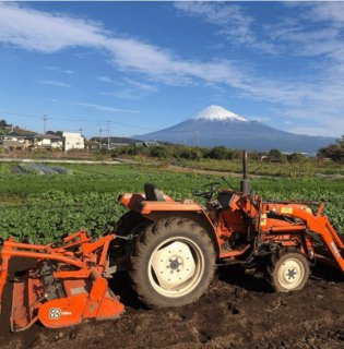 1/19(日)　Besso ALTANA『SUNDAY MARKET』