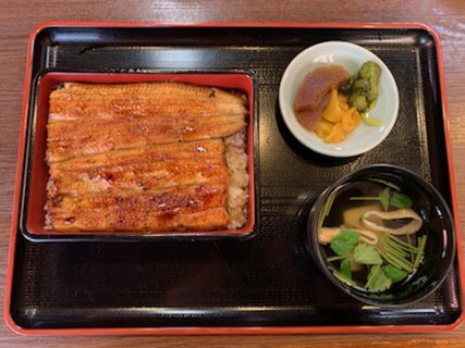 新米店長トホホ日記Vol546　店長の孤独のグルメ登場のお店巡礼第27弾　葛飾柴又のうな重