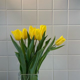 おはようございます。

Besso  ALTANAは
火•水定休日となります。

お問い合わせは
Instagram DM又は
お電話でお願いいたします。
Besso ALTANA☎︎0545-67-3939

今日も素敵な1日を♪

#朝#キッチン
#花のある暮らし 
#暮らしを楽しむ
#チューリップ#タイル
#体感#五感#美しさ#心地よさ

#展示会#モデルハウス
#アート#花のある暮らし 
#暮らし#心地よい暮らし 
#リビングインテリア 
#パッシブデザイン
#デザイン
#HIBIKIの家
#間取り
#収納術
#一枚板
#家具
@livingd_works_daiichikensetsu 
@livingd_kibaco_03
#マイホーム計画中
#openhouse
#富士市
#静岡
#別荘
#四季