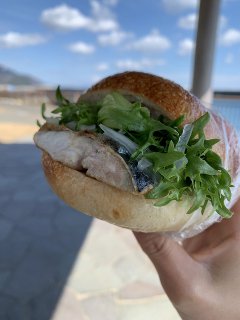 サバベーグルと富士山【ﾘﾌｫｰﾑ・ﾘﾉﾍﾞ】