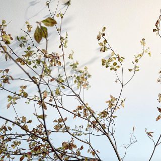 本日も御来場いただき
ありがとうございました。

皆様からの反響の大きさに
私たちも身の引き締まる想いです。

五感に響く心地よさ　
ぜひいちど御体感ください。

明日も10時〜16時までOpen
企画展も同時開催しております。

お問い合わせは
Besso ALTANA
☎︎0545-67-3939へ
お気軽にご連絡ください。

#御礼
#企画展
#まるっとゼミ
#OPEN HOUSE
#感謝の気持ちを込めて 
#照明#木々#心地よい空間
#暮らし#心地よい暮らし 
#パッシブデザイン
#デザイン#陰影
#HIBIKIの家
#一枚板
#水楢
#漆喰
#マイホーム計画中
#モデルハウス
#家づくり
#間取り
#openhouse 
#富士市イベント
#静岡イベント
#富士市