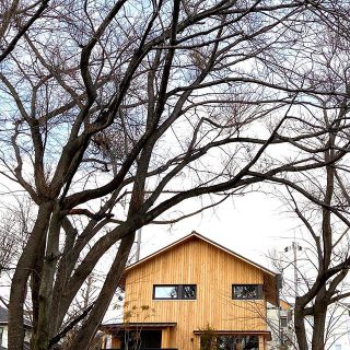 HIBIKI The MIRAI の
外壁は屋久島地杉の無塗装材 「空にダムがある」と言われるほど
1年中雨の降る特殊環境で育った 『屋久島地杉』

特徴は『油分の多さ』とそれに伴う
『耐久性』『耐候性』の強さ。

防蟻・防ダニ・リラックス効果をもたらす
芳香などの有効成分が非常に高い。

経年変化も愉しむ、
サスティナブルな国産ロングライフ素材。

大工が通気層を設けながら
2重に一枚一枚丁寧に重ね張りしました。

Besso  ALTANAは
火•水定休日となります。

お問い合わせは
Instagram DM又は
お電話でお願いいたします。
Besso ALTANA☎︎0545-67-3939

@livingd_works_daiichikensetsu 
@livingd_kibaco_03 
@besso_altana 
#hibikithemirai
#屋久島地杉
#外壁
#サスティナブル
#パッシブデザイン 
#bessoaltana 
#アルタナ
#別荘
#livingd
#第一建設
#暮らしを楽しむ 
#富士山が見える
#分譲地#桜#四季
#富士見台
#富士市
#静岡
#家づくり
#モデルハウス
#マイホーム計画