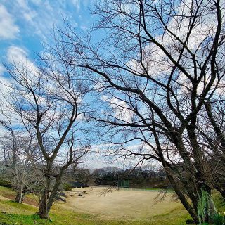 2月　如月

節分を迎え季節は春へ。

富士見台分譲地 
目の前は大きな桜

春が待ち遠しいですね。

#2月#公園#空#桜
#体感#五感#美しさ#心地よさ

#展示会#モデルハウス
#アート#花のある暮らし 
#暮らし#心地よい暮らし 
#リビングインテリア 
#パッシブデザイン
#デザイン
#HIBIKIの家
#一枚板
#ユニルクス
#木製窓
#漆喰
@livingd_works_daiichikensetsu 
@livingd_kibaco_03
#マイホーム計画中
#openhouse
#富士市
#静岡
#別荘
#四季