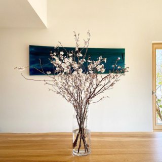 3/28(土)29(日)大きな窓からお花見が出来る別荘のようなお家OPENHOUSE【本社富士】