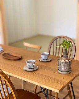 ,
3/21(土)～4/5(日)開催している
   
完成見学会の会場にある観葉植物は

@the_grove_store  さんが
   
飾ってくださいました🌿♪
   
   
予約制完成見学会 詳細・ご予約は
プロフィールのURLから✉
,
,
#完成見学会#新築一戸建て#観葉植物#植物のある暮らし#リビング#キッチン#アイランドキッチン#木目天井#和室#リビングインテリア#ダイニング#木目クロス#ナチュラルインテリア
------------------------------
@daiichi_fujieda
藤枝市水守2-1-1
TEL054-645-5900
------------------------------
,
,
住まいのご相談やモデルハウス見学 、お気軽にご予約ください😊
ご興味のある方はお電話、HP、DMからどうぞ！
,
livingd 第一建設 藤枝支店は#静岡県 #藤枝市 にあります✨
,
HOUSE OF THE YEAR in ENERGY 特別優秀賞3年連続特別優秀賞受賞や
#長期優良住宅 ZEH など性能の高い建物はもちろん#無垢の床 や#自然素材 を生かしたデザイン性のある注文住宅を中心に木の家 を造っています✨
,
藤枝支店は水曜日定休で#モデルハウス を公開中です！
隣接する XOXO （キスキス）はZEH仕様の #カフェ です。（水曜＆土曜 定休）
子育て世代のパパ 静岡ママ にぴったりの#家づくり をサポートいたします✨  #施工実例