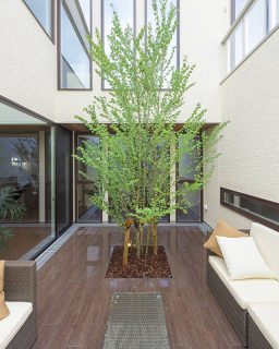 ・
富士市中庭を囲む家
・
#中庭
#シンボルツリー
#HIBIKIプレミアムの家
#マルバノキ ・
資料請求・ブログ・会社のコト・イベント・見学会情報
もっと詳しくはプロフィールページのURLをクリック！
.
.
━━━━━━━━━━━━━━━━
◎新築住宅の実例を紹介しています！ 🏠 ▶︎ @livingd_works_daiichikensetsu ・
◎写真の気になることやご質問 メッセージでお気軽に！
担当建築士・デザイナー・コーディネーターがお答えしています！ ▶︎ @livingd_works_daiichikensetsu ━━━━━━━━━━━━━━━━ .
.
1973年創業　ロングライフカンパニー LivingD 第一建設株式会社のオリジナルブランド
HIBIKIの家・KIBACOの家は
◎命を守る家
◎未来性能の家
◎ロングライフ設計
を基準に「自然美」×「機能美」×「性能美」を兼ね備え
未来を見据えたロングライフデザイン の家です！
.
.
この先の未来も、実績あるプロフェッショナル集団が
住まいと暮らしづくりをサポートします！
.
新モデルハウス公開中。 @besso_altana
.
拠点
富士支店・沼津支店・藤枝支店・富士吉田支店
━━━━━━━━━━━━━━━━
新築・リフォーム・リノベーション
施工エリア
━━━━━━━━━━━━━━━━
静岡県
#富士市 #富士宮市  #沼津市  #三島市・函南町・裾野市・御殿場市・小山町・
伊豆市・伊豆の国市・長泉町・清水町・熱海市・伊東市
静岡市・藤枝市・焼津市・島田市・吉田町・御前崎市・菊川市・牧之原市・掛川市
山梨県

山梨県
富士吉田市・甲府市・都留市・甲斐市・笛吹市・西桂町・忍野村・山中湖村・鳴沢村・富士河口湖町
━━━━━━━━━━━━━━━━
住まいと暮らしの LivingD 事業
━━━━━━━━━━━━━━━━
新築住宅・店舗・設計施工 
リフォーム・リノベーション・メンテナンス
不動産開発分譲・賃貸管理
家具・インテリア @hanare_altana
カフェ @altana_cafe @home_cafe_xoxo  @cafe_ldk
保険・ファイナンシャル・プランニング
・
#マイホーム計画 
#マイホーム計画中の人と繋がりたい 
#注文住宅 #注文住宅新築 #新築 #新築一戸建て #マイホーム計画 #新築注文住宅 #新築マイホーム #新築住宅  #一戸建て #戸建て #お家 #おうち#hibiki #見学会 #リノベーション  #ロングライフデザイン
#works #公開中 #blog