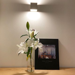 気持ちほぐれる心地よさ。

本日もBesso  ALTANAへ
御来場ありがとうございました。

建物を見たい。
間取りが気になる。
家具を実際に見たいから。
おうちのこと考え始めたから。

どうぞお気軽にお立ち寄り下さい。

お問い合わせは
Besso ALTANA
☎︎0545-67-3939へ

#openhouse 
#モデルハウス
#ベッソアルタナ
#別荘#照明#間接照明

#花のある暮らし 
#本#アトリエ#アート
#家具#テキスタイル
#インテリア#上質
#心地よい空間
#上質な暮らし
#パッシブデザイン
#ロングライフ
#デザイン
#第一建設
#一枚板
#マイホーム計画中
#家づくり
#間取り
#収納術 
#子育て
#ファミリー
#富士市イベント
#静岡イベント
#富士市
@livingd_kibaco_03 
@livingd_works_daiichikensetsu