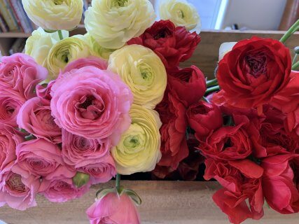 もうすぐ春。見学会のお知らせ【藤枝支店】