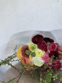 春のイベントが待ち遠しい【ﾘﾌｫｰﾑ・ﾘﾉﾍﾞ】