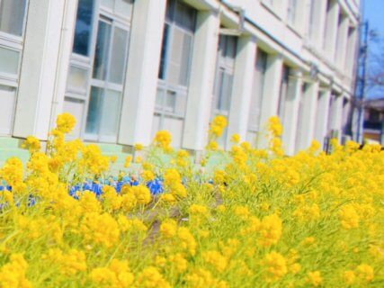 入学入園・学校行事・記念日を素敵に撮ろう♪【暮らすプラス藤枝】