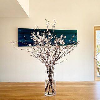 サクラ咲く
ダイニングでお出迎え

#桜
#抹茶
#スイーツ
#限定カフェ
#静岡カフェ
#花のある暮らし 
#アートのある暮らし 
#アート#鈴木健司
#mukuten
#ダイニング
#一枚板テーブル 
#造作家具#家具

#春分の日 
#二十四節気
#ベッソアルタナ
#アルタナの別荘
#別荘
#静岡県
#富士市
#静岡イベント 
#富士市イベント
#カフェ巡り 
#macha#cafe
#openhouse 
#cherryblossom