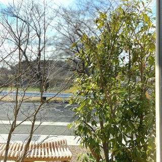 こんばんは。
今日は暖かい1日でしたね。

明日は市内小中学校の卒業式
御卒業おめでとうございます。

Besso  ALTANAも
明日は都合により
13時オープンとなります

よろしくお願いいたします。

見学ご相談など
お気軽にご利用下さい。

アルタナの別荘
@besso_altana 
十人十色の暮らし
@livingd_kibaco_03
2棟どちらもご覧いただけます。

お問い合わせは
Besso ALTANA
☎︎0545-67-3939へ

#珈琲
#カフェタイム
#ドライフラワー
#花のある暮らし 
#openhouse 
#モデルハウス
#ベッソアルタナ
#別荘#五感#桜

#家具#テキスタイル
#ラグ#インテリア
#心地よい空間
#心地よい暮らし 
#パッシブデザイン
#サスティナブル
#第一建設
#一枚板
#マイホーム計画中
#家づくり
#間取り
#収納術 
#子育て
#ファミリー
#富士市イベント
#沼津市
#三島市
#静岡市
@livingd_works_daiichikensetsu