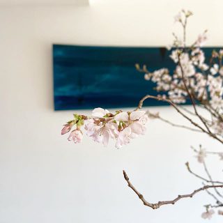 サクラ

明日11時〜14時
出張カフェ『抹茶とお菓子と桜と』開催

お家の見学は
10時〜17時まで対応

みなさまの御来場を
お待ちしております。

お問い合わせはお電話でどうぞ
Besso  ALTANA
☎︎0545-67-3939

#桜
#抹茶
#スイーツ
#限定カフェ
#静岡カフェ
#花のある暮らし 
#アートのある暮らし 
#アート#鈴木健司

#暦
#自然
#春分の日 
#二十四節気
#ベッソアルタナ
#アルタナの別荘
#別荘
#静岡県
#富士市
#静岡イベント 
#富士市イベント
#カフェ巡り 
#macha#cafe
#openhouse 
#cherryblossom