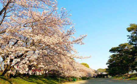 アウトドアを楽しむ家。【藤枝支店】