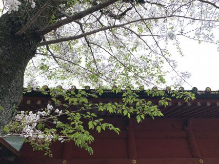 どっちがいいの？　【ﾘﾌｫｰﾑ・ﾘﾉﾍﾞ】